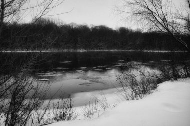 donmuş nehir ve ağaçları kış sezonu.