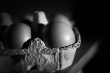 Siyah arka planda bir tavuk yumurtasının siyah beyaz fotoğrafı. Paskalya konsepti.