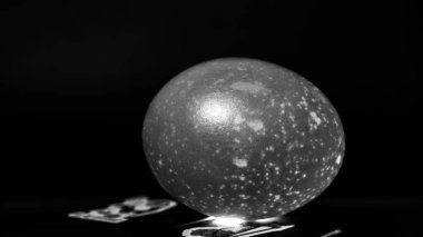 Siyah arkaplanı olan siyah ve beyaz paskalya yumurtasını kapat.