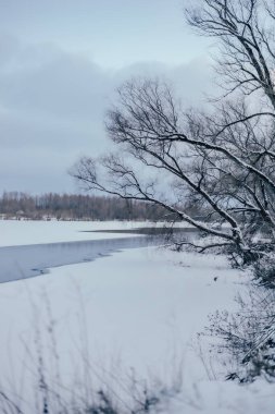 Karla kaplı ağaçlarla kaplı kış manzarası