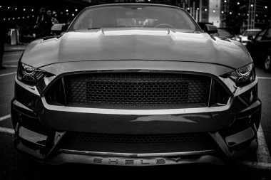 Agresif ızgara tasarımı olan lüks bir spor arabanın siyah-beyaz ön görüntüsü..