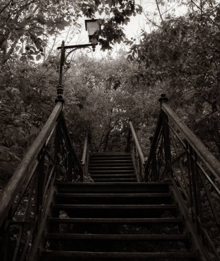 Parktaki eski terk edilmiş merdivenler.