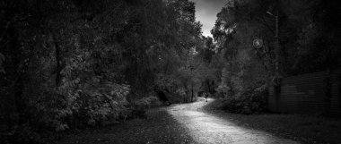 Geceleyin karanlık ormanda bir patika..