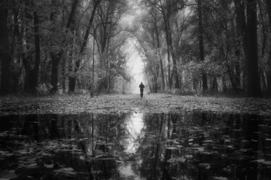 Issız bir orman parkında, sisli bir sonbahar gününde, karanlık yansımalarıyla tek başına yürüyen bir adam..