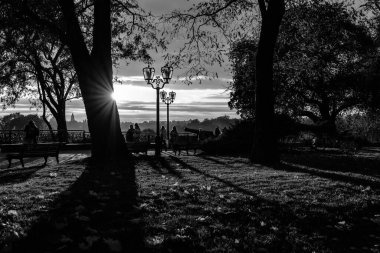 Güzel bir parkın siyah beyaz görüntüsü.