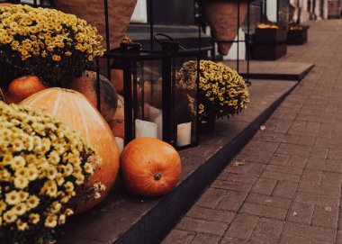 Sokaktaki güzel balkabakları