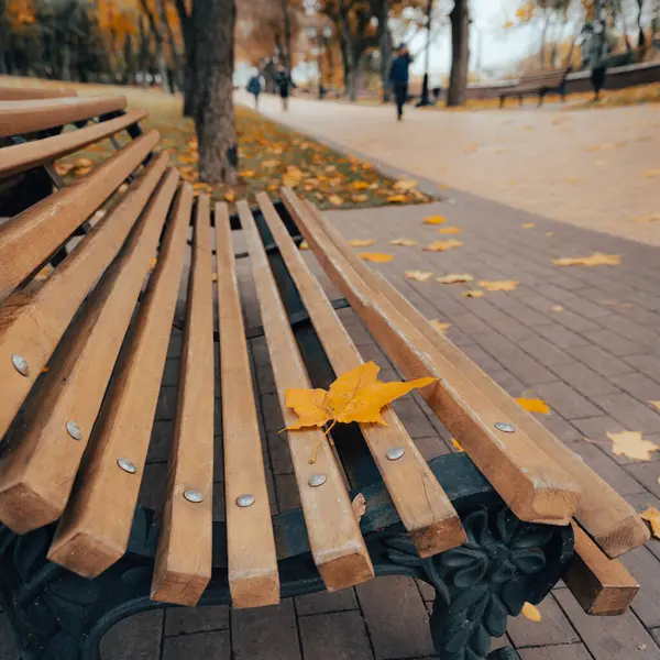 Parkta sonbahar bankı