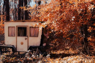 Sonbahar ağaçlarının arasına gizlenmiş eski model mobil bir kulübe, ürkütücü bir sonbahar sahnesi yaratıyor. Karavan sonbahar yapraklarının zengin renklerine karışıyor..