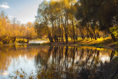 Nehir kıyısında uzanan altın sonbahar ağaçları, yansımaları sakin bir sonbahar gününde simetrik bir manzara yaratıyor..