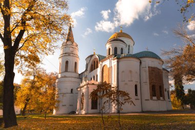 Ağaçlarla çevrili küçük su birikintileri ve altın ışığı yansıtan sonbahar yapraklarıyla süslenmiş bir patika..