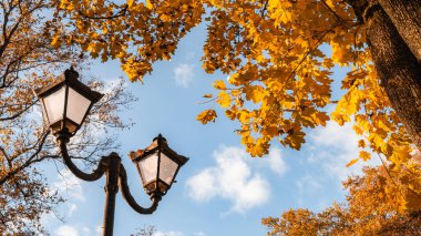 Altın sonbahar yaprakları ile çerçevelenmiş klasik bir lamba direği ve berrak mavi bir gökyüzüne karşı kurulmuş, sakin bir düşüş sahnesi yaratıyor.