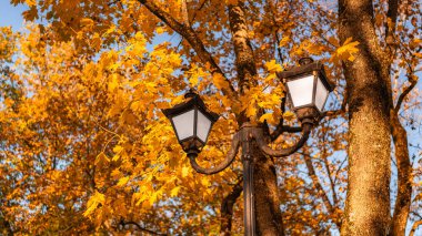 Canlı sonbahar yaprakları arasında eski tarz park feneri mevsimlik manzaraya nostaljik bir dokunuş ekliyor..