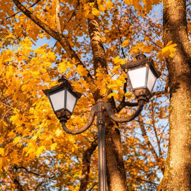 Canlı sonbahar yaprakları arasında eski tarz park feneri mevsimlik manzaraya nostaljik bir dokunuş ekliyor..