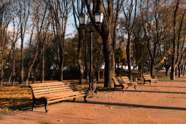 Ağaçlar ve düşen yapraklarla çevrili, huzurlu bir sonbahar parkında sıralanmış boş ahşap banklar..
