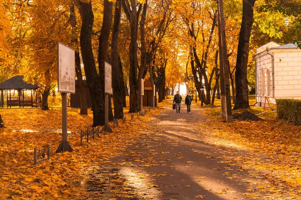 Sonbahar renklerinde yapraklar ve ağaçlarla dolu park yolu, huzurlu, mevsimsel bir atmosferi yakalıyor..