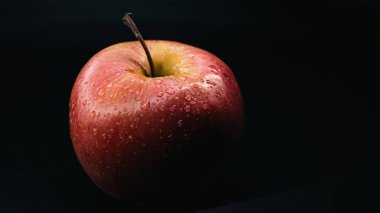 Sağlıklı beslenme kavramları için ideal siyah bir zemine karşı ıslak bir elmanın makro çekimi..