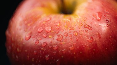 Kırmızı bir elmanın yüzeyindeki su damlacıklarının detaylı makro görüntüsü doğal tazeliği gösteriyor..