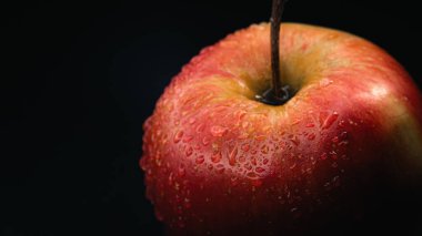 Sağlıklı beslenme kavramları için ideal siyah bir zemine karşı ıslak bir elmanın makro çekimi..