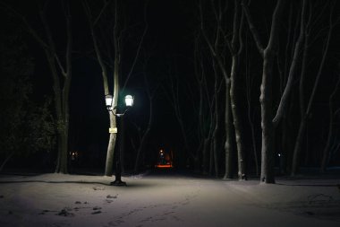 Karla kaplı park yolu bir kış gecesinde ıssız bir sokak lambasıyla aydınlatıldı..