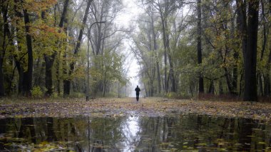 Bulanık bir sonbahar parkı, su birikintisi üzerinde düşen yapraklar ve bulanık yürüyen bir figür..