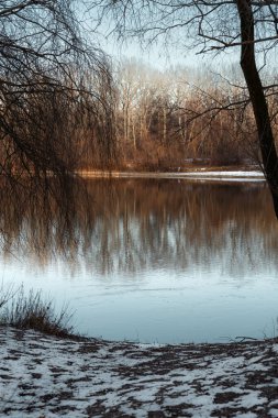 Sakin kış manzarası. Sakin bir nehir. Açık bir gökyüzünün altında çıplak ağaçlarla çevrili..