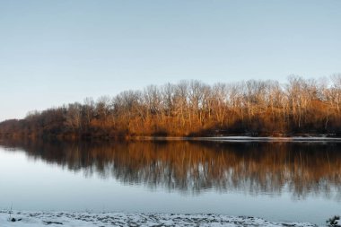 Huzurlu bir kış akşamı nehir kenarında çıplak ağaçlardan oluşan bir ormanı aydınlatan altın bir ışık..
