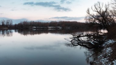 Alacakaranlıkta sakin bir nehir kenarı sahnesi. Gökyüzünün pastel renklerini yansıtan sakin bir su ve manzarayı çerçeveleyen çıplak kış ağaçları..