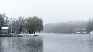Söğüt ağacının olduğu bir kış sahnesi sisli bir göl, karla çevrili ve arka planda ormanlı tepeler..