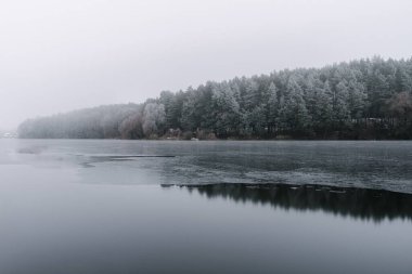 Ormandaki siste bir gölün dikey görüntüsü.