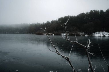 Karla kaplı ağaçlarla kaplı kış manzarası