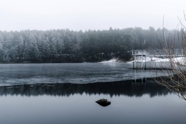 Ormanda donmuş bir gölün güzel bir görüntüsü.