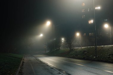 Islak asfalt ile sessiz gece yol sahnesi yoğun bir sis altında sokak lambaları yansıtan, kentsel ya da siyah-esinlenilmiş görseller için mükemmel.