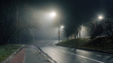 Islak asfalt ile sessiz gece yol sahnesi yoğun bir sis altında sokak lambaları yansıtan, kentsel ya da siyah-esinlenilmiş görseller için mükemmel.