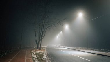 Sisli gece yolu sokak lambalarıyla aydınlatılıyor, çıplak ağaçlar ve sakin bir kaldırım sakin bir şehir atmosferi yaratıyor..