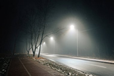 Sisli gece yolu sokak lambalarıyla aydınlatılıyor, çıplak ağaçlar ve sakin bir kaldırım sakin bir şehir atmosferi yaratıyor..