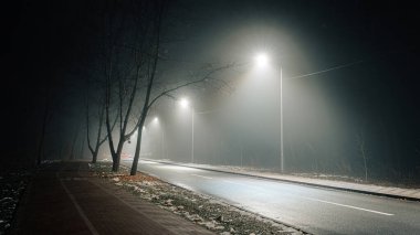 Sisli gece yolu sokak lambalarıyla aydınlatılıyor, çıplak ağaçlar ve sakin bir kaldırım sakin bir şehir atmosferi yaratıyor..