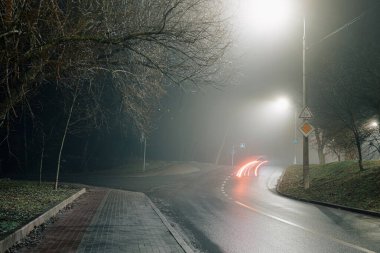 Islak yolda giden bir arabanın olduğu sisli şehir gece sahnesi. Çıplak ağaçlarla çevrili, parlayan sokak lambalarıyla aydınlatılmış..
