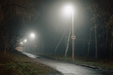 Sisli gece yolu sokak lambalarıyla aydınlatılıyor, çıplak ağaçlar ve sakin bir kaldırım sakin bir şehir atmosferi yaratıyor..