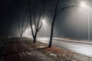Sisli gece yolu sokak lambalarıyla aydınlatılıyor, çıplak ağaçlar ve sakin bir kaldırım sakin bir şehir atmosferi yaratıyor..
