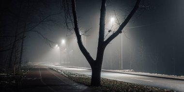Sisli gece yolu sokak lambalarıyla aydınlatılıyor, çıplak ağaçlar ve sakin bir kaldırım sakin bir şehir atmosferi yaratıyor..