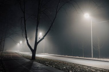 Sisli gece yolu sokak lambalarıyla aydınlatılıyor, çıplak ağaçlar ve sakin bir kaldırım sakin bir şehir atmosferi yaratıyor..