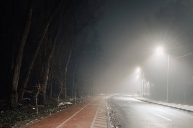 Sisli bir gecede boş bir yol ve bisiklet yolu, sokak lambalarıyla aydınlatılıyor, ağaçlar bir tarafta diziliyor, sakin ve atmosferik bir manzara yaratıyor..