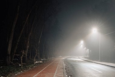 Sisli bir gecede boş bir yol ve bisiklet yolu, sokak lambalarıyla aydınlatılıyor, ağaçlar bir tarafta diziliyor, sakin ve atmosferik bir manzara yaratıyor..