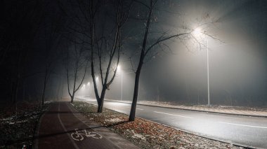 Foggy night road illuminated by streetlights, with bare trees and a quiet sidewalk creating a tranquil urban atmosphere. clipart