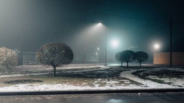 Gece sisli bir park manzarası. Sokak lambalarıyla aydınlatılan çalılar dingin ve gizemli bir atmosfer yaratıyor..