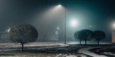 Gece sisli bir park manzarası. Sokak lambalarıyla aydınlatılan çalılar dingin ve gizemli bir atmosfer yaratıyor..