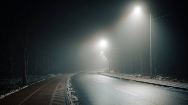 Sisli bir gecede boş bir yol ve bisiklet yolu, sokak lambalarıyla aydınlatılıyor, ağaçlar bir tarafta diziliyor, sakin ve atmosferik bir manzara yaratıyor..