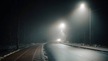 Sisli bir gecede boş bir yol ve bisiklet yolu, sokak lambalarıyla aydınlatılıyor, ağaçlar bir tarafta diziliyor, sakin ve atmosferik bir manzara yaratıyor..