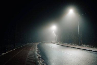 Sisli bir gecede boş bir yol ve bisiklet yolu, sokak lambalarıyla aydınlatılıyor, ağaçlar bir tarafta diziliyor, sakin ve atmosferik bir manzara yaratıyor..