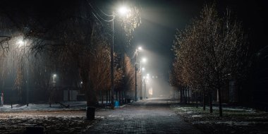 Gece vakti sokak lambaları ve kış ağaçlarıyla kaplı olan şehir parkı yolu huzurlu ve atmosferik bir manzara yaratıyor..